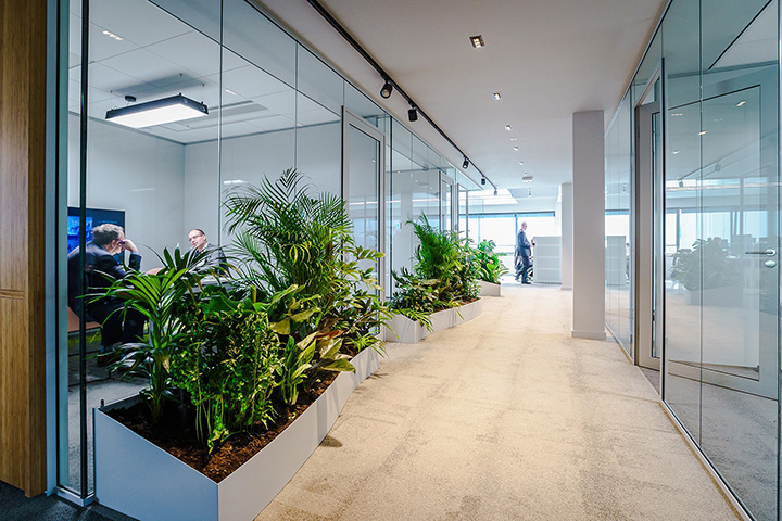 舊車庫改造成創新可持續總部辦公樓裝修設計實景圖 舊車庫改造成創新可持續總部辦公樓裝修設計實景圖