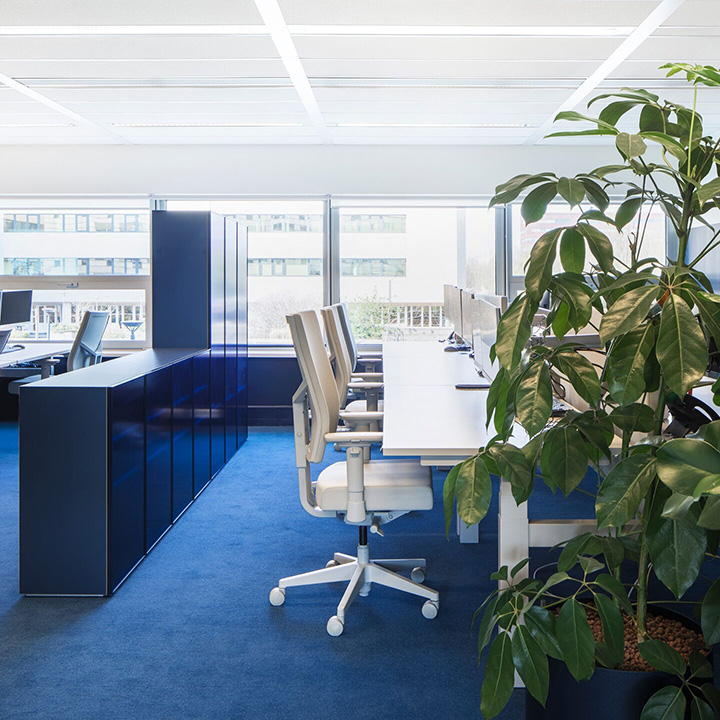 Aidsfonds如彩虹般絢爛的時尚辦公室敞開辦公區裝修設計案例 Aidsfonds如彩虹般絢爛的時尚辦公室敞開辦公區裝修設計案例